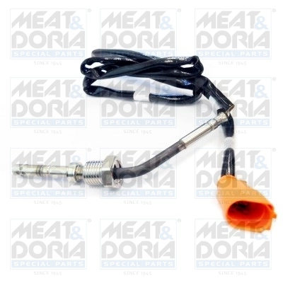 Sensor, exhaust gas temperature